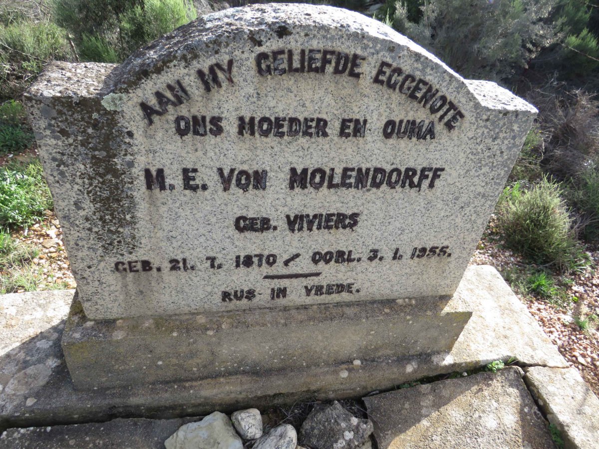 MOLENDORFF M.E., von nee VIVIERS 1870-1955