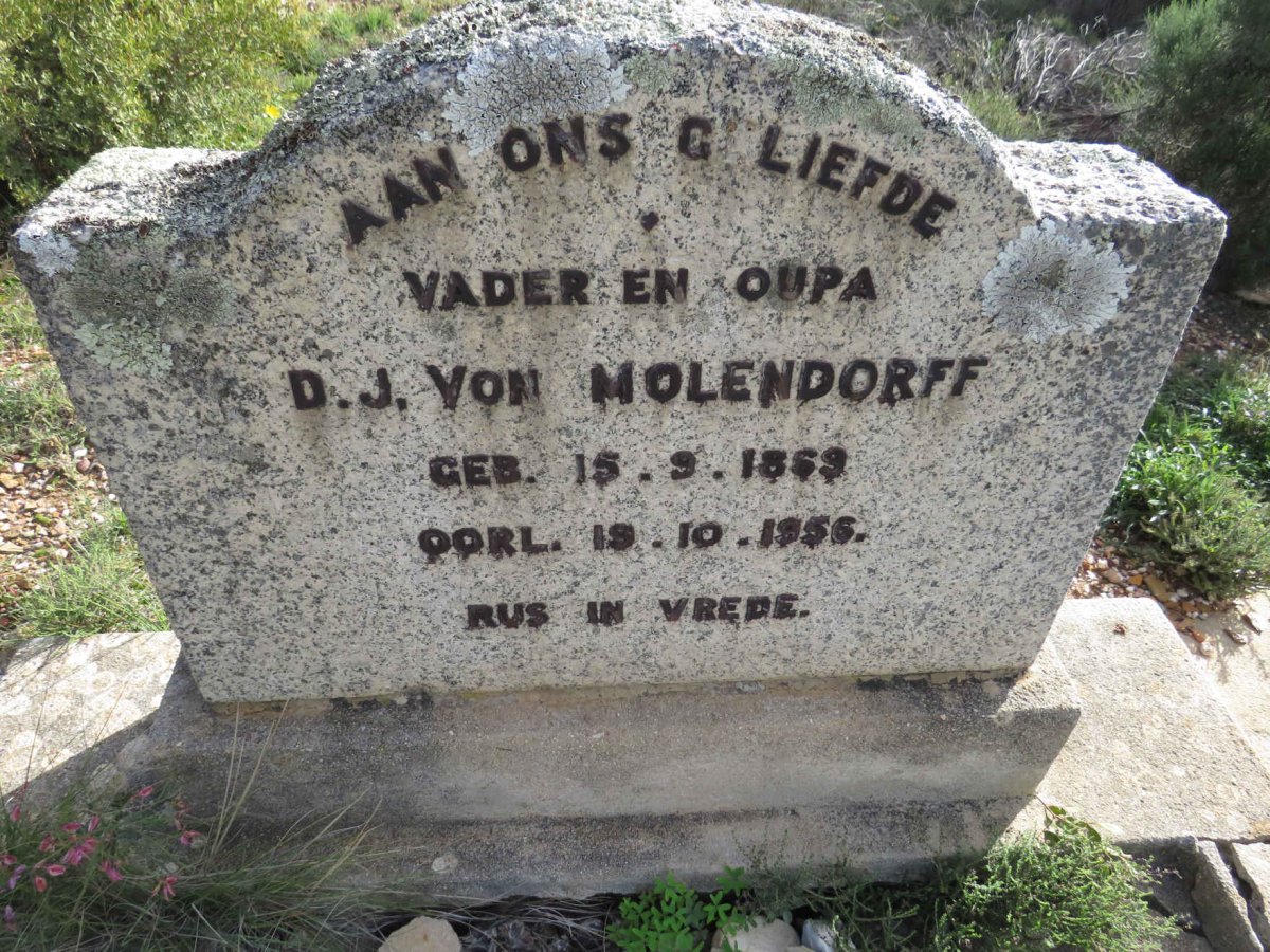 MOLENDORFF D.J., von 1869-1956