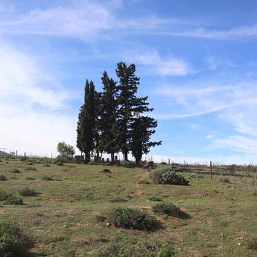 1. Oorsig / Overview