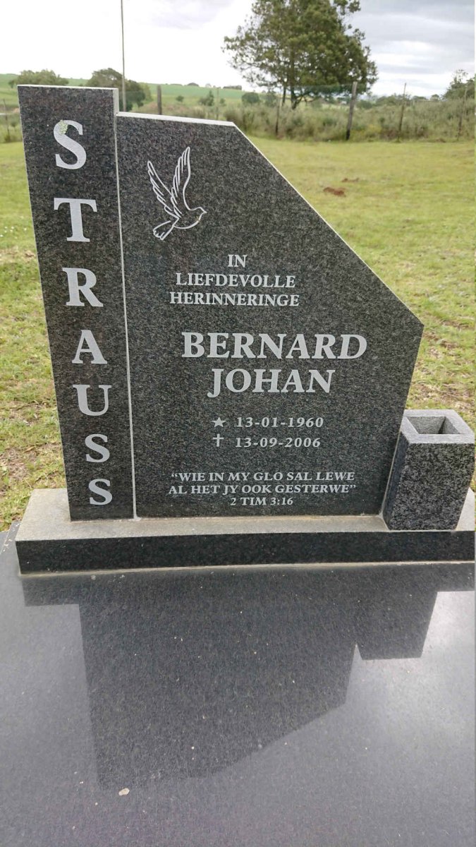 STRAUSS Bernard Johan 1960-2006