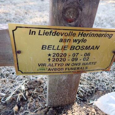 BOSMAN Bellie 2020-2020