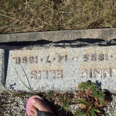 ELLIS Annie 1885-1960
