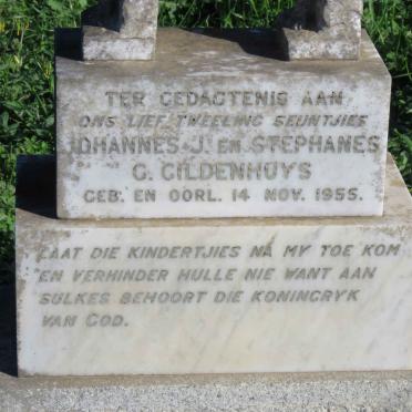 GILDENHUYS Johannes J. 1955-1955 :: GILDENHUYS Stephanes G. 1955-1955