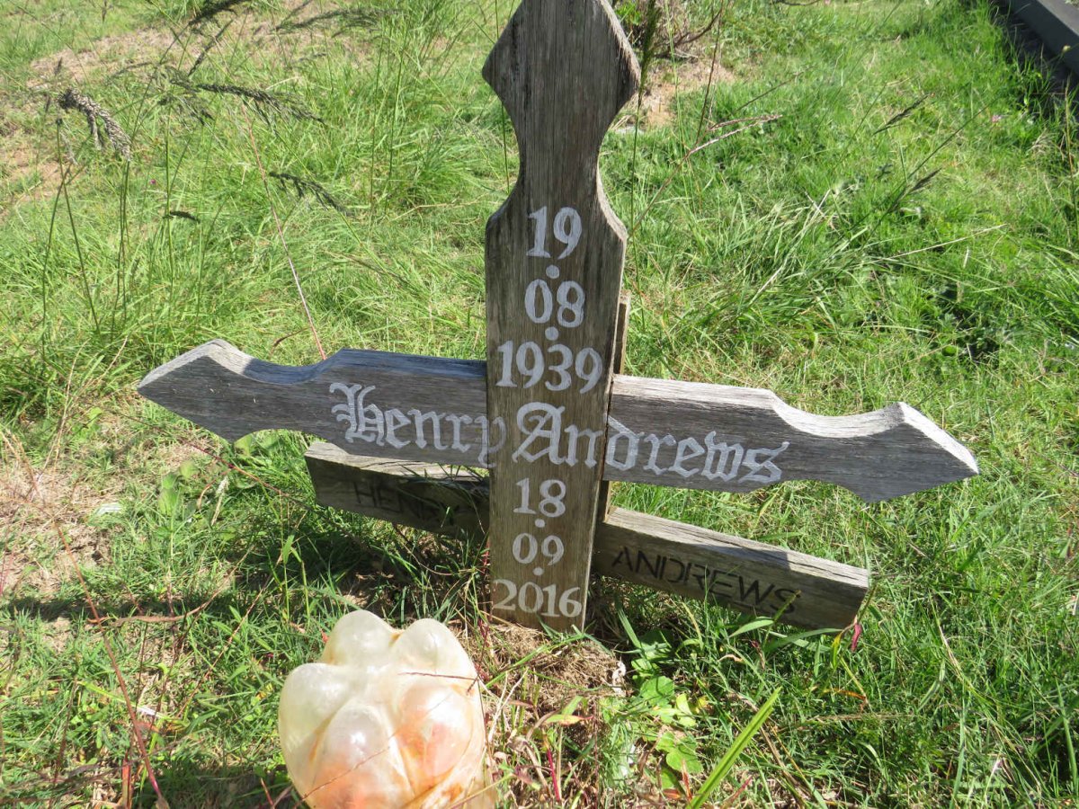 ANDREWS Henry 1939-2016