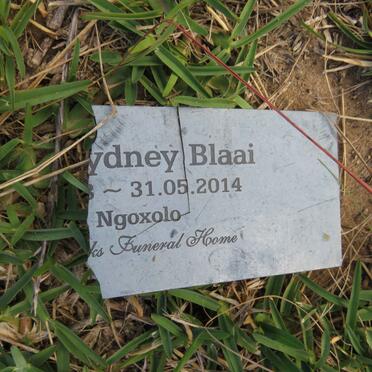 BLAAI ?ydney -2014