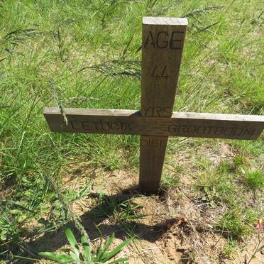 GROOTBOOM Letucia -2021