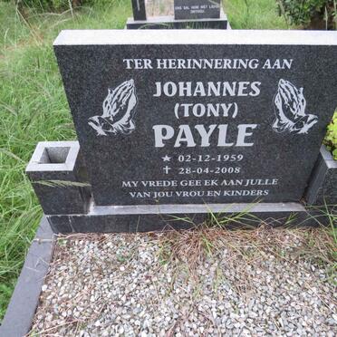 PAYLE Johannes 1959-2008