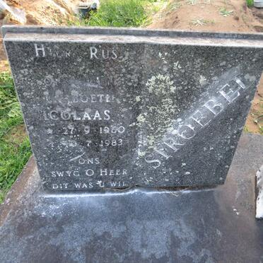 STROEBEL Nicolaas 1960-1983