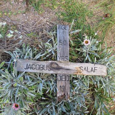 SALAF Jacobus