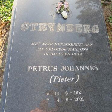 STEYNBERG Petrus Johannes 1921-2001
