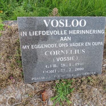 VOSLOO Cornelius 1940-2000