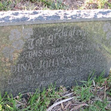 ? Dina Johanna 1877-1962