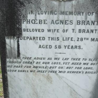 BRANT Phoebe Agnes -1990