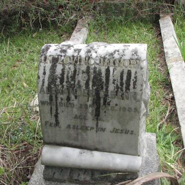 BENN Alexander G. -1901