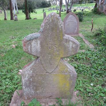 FERREIRA Petrus H.  -1894_01