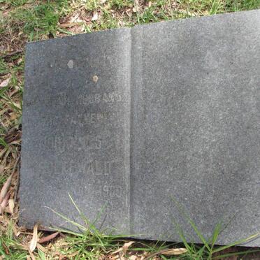 GROENEWALD Johannes 1900-1959