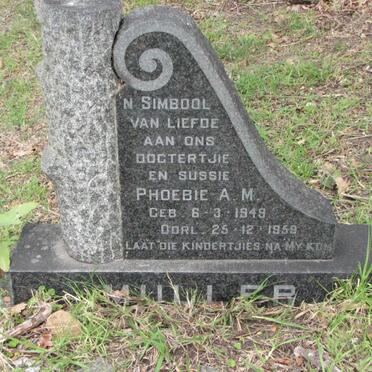 MULLER Phoebie A.M. 1949-1959