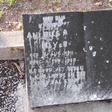 MEYER Andries 1911-1958