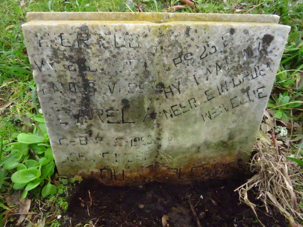 PLESSIS Carel A., du _1