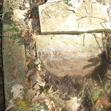 PANGLE Carolina Martha 1861-1913