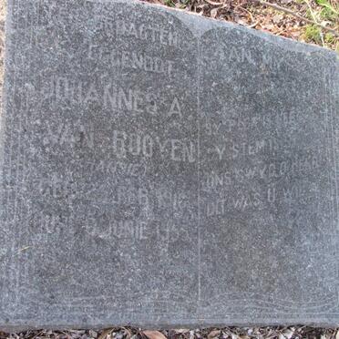 ROOYEN Johannes A., van 1916-1955