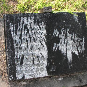 SCIOCATTI Domenico 1898-1952