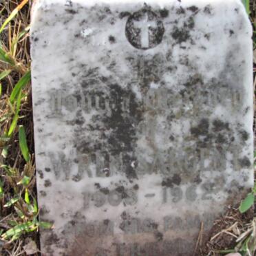 SARGENT Wren 1908-1962