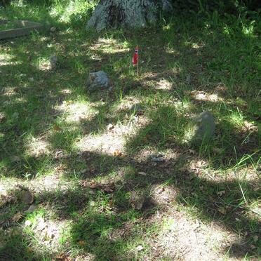 1. Whale Steamer Pisang, Norway