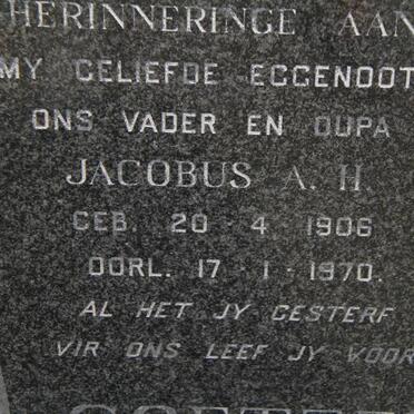 COETZEE Jacobus A. H. 1906-1970