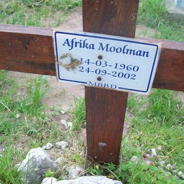 MOOLMAN Afrika 1960-2002