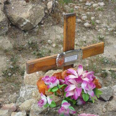 PETERSEN Celeste 1989-201?