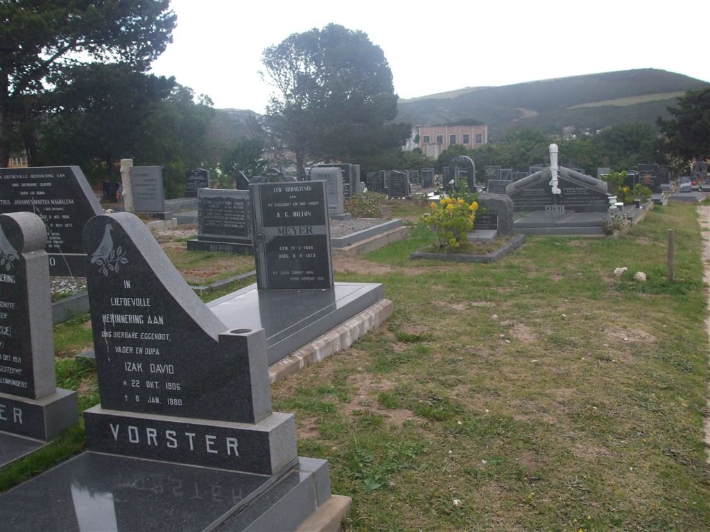 1. Overview