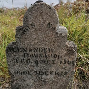 BARNADO Alexander 1869-1955