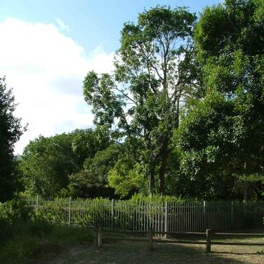 1. Cemetery entrance