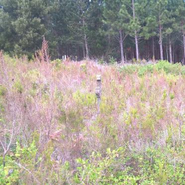 5. Very overgrown and neglected