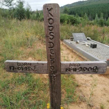 DELPORT Koos 1952-200?