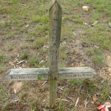 PREEZ Johannes, du 1979-2015