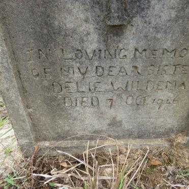 WILDEMAN Delie -1946
