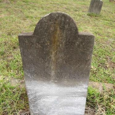 HARKER F.J. 1879-1965