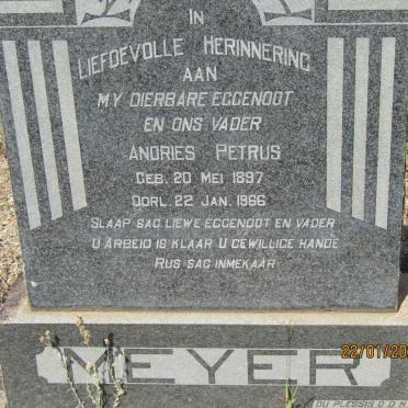 MEYER Andries Petrus 1897-1966