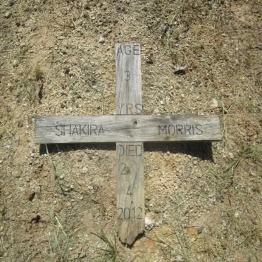 MORRIS Shakira -2012