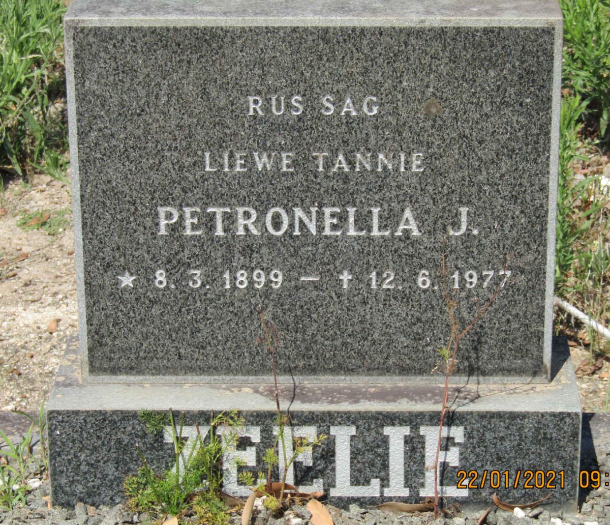 ZEELIE Petronella J. 1899-1977