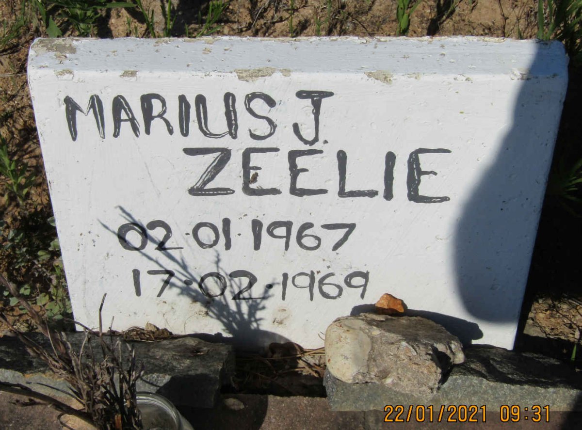 ZEELIE Marius J. 1967-1969