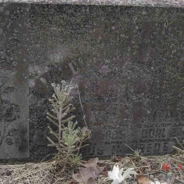 ? 1895-??