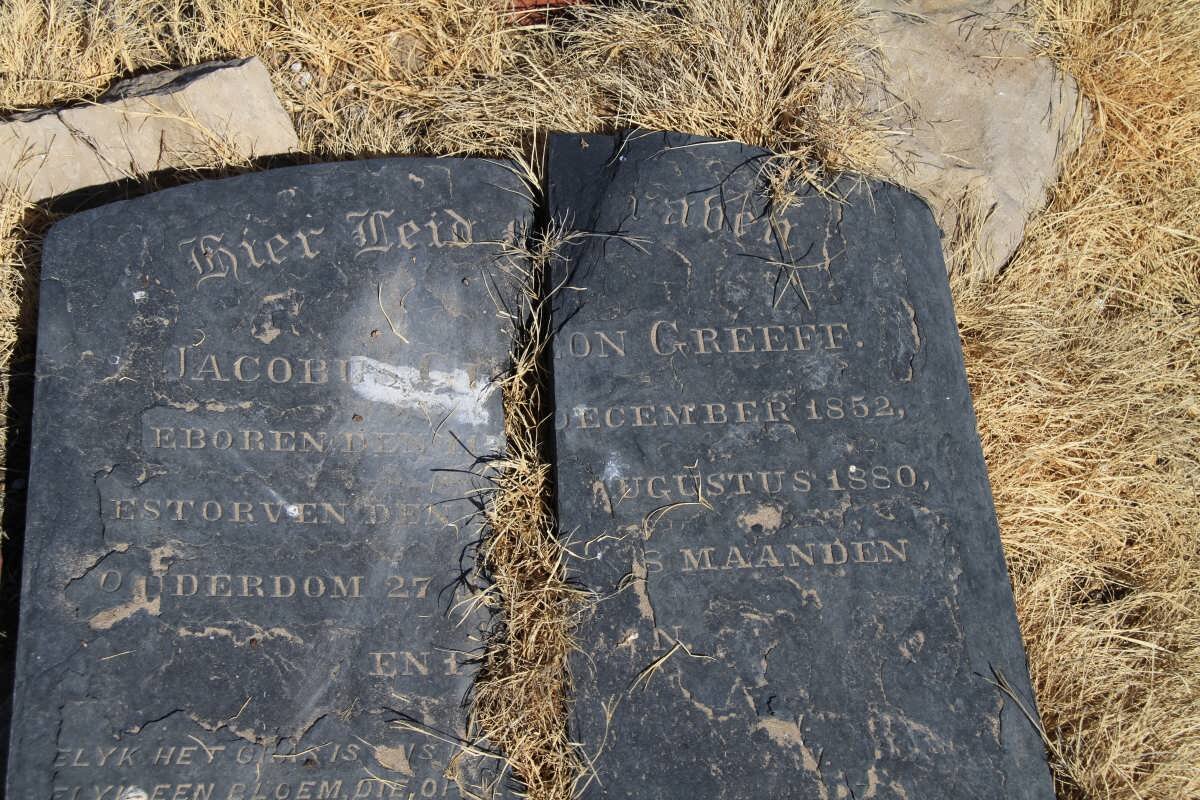 GREEFF Jacobus ??on 1952-1880