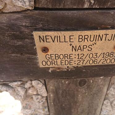 BRUINTJIES Neville 1981-2008