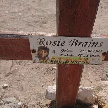 BRAINS Rosie 1949-2020