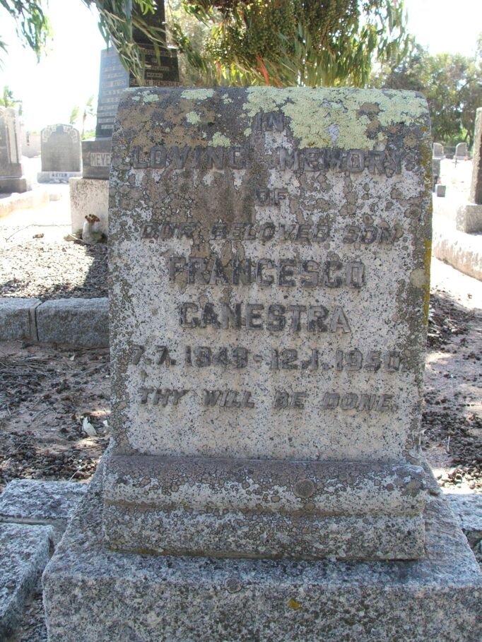 CANESTRA Francesco 1949-1950