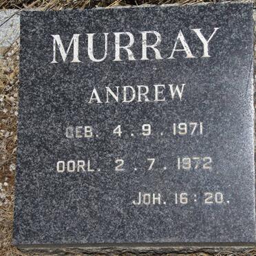 MURRAY Andrew 1971-1972
