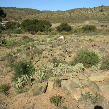 1. Overview